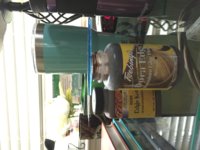 IMG_3669[1].JPG