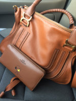 ImageUploadedByPurseForum1457577861.401940.jpg