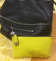 ImageUploadedByPurseForum1457609567.839549.jpg