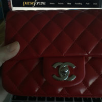 ImageUploadedByPurseForum1457624980.978472.jpg