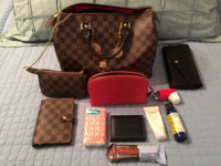ImageUploadedByPurseForum1457641937.650757.jpg