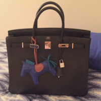 ImageUploadedByPurseForum1457897211.931743.jpg