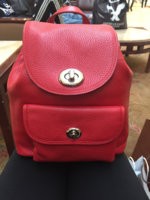 ImageUploadedByPurseForum1457911425.000655.jpg