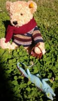 Bear & shamrocking lizard(1).jpg