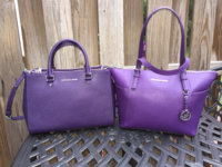 ImageUploadedByPurseForum1458146840.295145.jpg