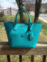 ImageUploadedByPurseForum1458152305.974294.jpg