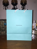 ImageUploadedByPurseForum1458163024.229830.jpg