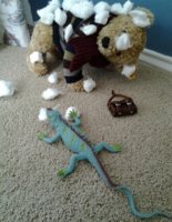 Bear pretending a sheep(1).jpg