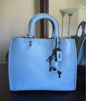 ImageUploadedByPurseForum1458326263.484479.jpg