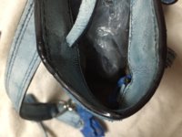 IMG_3804[1].JPG