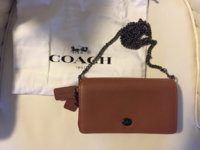 ImageUploadedByPurseForum1458398851.231520.jpg