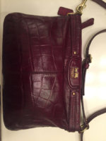 ImageUploadedByPurseForum1458442627.672448.jpg