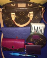 ImageUploadedByPurseForum1458449927.973121.jpg