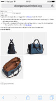 ImageUploadedByPurseForum1458574057.891221.jpg