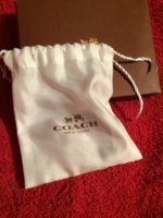99999 resin bracelet dustbag.jpg