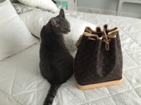 ImageUploadedByPurseForum1458647641.961643.jpg
