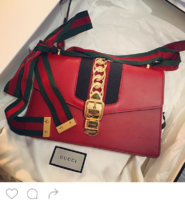 ImageUploadedByPurseForum1458703217.991547.jpg
