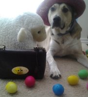 Easter dog & oxblood nvt lily(1).jpg