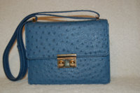 blue ostrich handbag.jpg