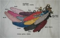 wing_feathers_version3.jpg