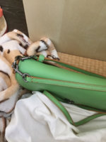 ImageUploadedByPurseForum1458950022.081869.jpg