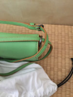 ImageUploadedByPurseForum1458950040.956531.jpg