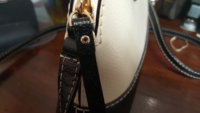 20160326_110324.jpg