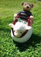 Bear in Easter sheep race(1).jpg