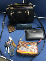 ImageUploadedByPurseForum1459211877.930259.jpg