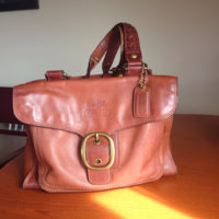 ImageUploadedByPurseForum1459283671.394159.jpg