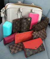 ImageUploadedByPurseForum1459294837.467742.jpg