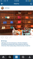 ImageUploadedByPurseForum1459396064.700347.jpg