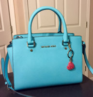 ImageUploadedByPurseForum1459465440.593957.jpg