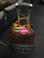 ImageUploadedByPurseForum1459522644.582367.jpg