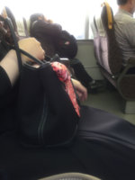 ImageUploadedByPurseForum1459601850.945232.jpg
