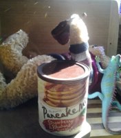 Bear faints in panic(1).jpg