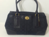 ImageUploadedByPurseForum1459794921.323024.jpg