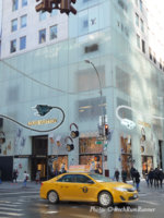NYC LV Illustration.jpg