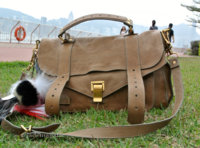 ImageUploadedByPurseForum1459896095.366648.jpg