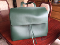 ImageUploadedByPurseForum1460076132.342067.jpg