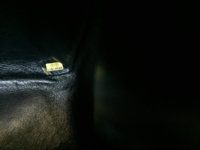 ImageUploadedByPurseForum1460361982.508460.jpg