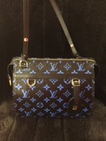 LV Speedy Amazon PM (1).JPG