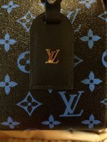 LV Speedy Amazon PM (2).JPG