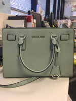ImageUploadedByPurseForum1460741051.765790.jpg