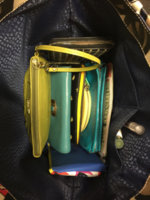 ImageUploadedByPurseForum1460860483.602453.jpg