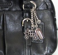 12695_charm-maybe permanently attached.jpg