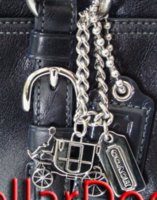 12695_charm-maybe permanently attached-b.jpg