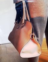 tods mystery bag compressed.jpg