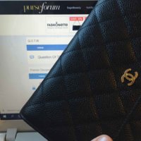 ImageUploadedByPurseForum1461087534.274312.jpg