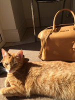 ImageUploadedByPurseForum1461161884.632618.jpg